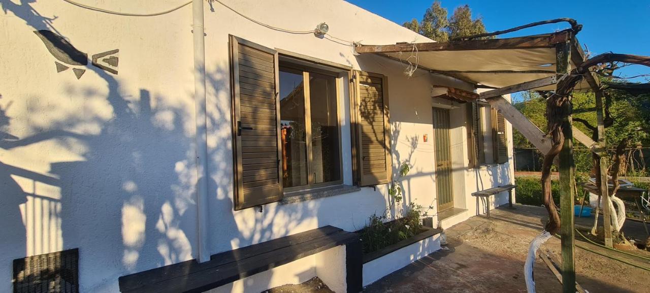 Cosy Home With Private Parking By The Sea シニスコーラ エクステリア 写真